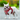 floral-doggy-harness-red-xl