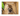 ipet-dog-pet-kennel-dog-house-large-wooden-96cm-x-69cm-x-66cm