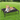 floofi-elevated-pet-bed
