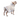 pawfriends-tpu-transparent-pet-cape-raincoat-large-dog-teddy-fadou-koki-dog-clothing