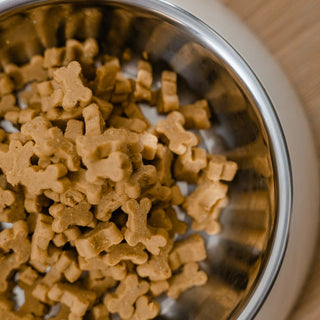 choosing-the-right-dog-food-a-comprehensive-guide