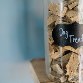 healthy-dog-treats-nutritional-snacks-for-your-pet