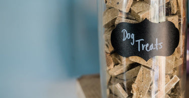 healthy-dog-treats-nutritional-snacks-for-your-pet