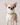 Dog Collars