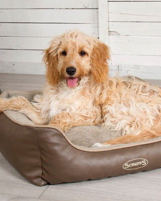 dog-bed