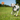 major-dog-octopus-retrieval-ball-large-fetch-toy