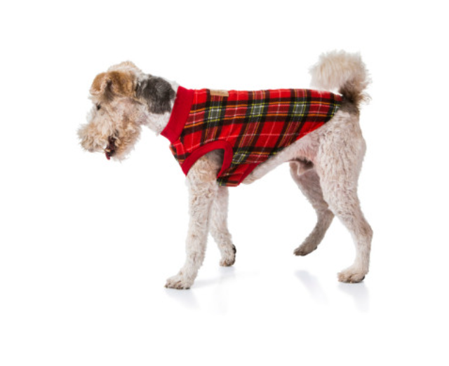 red-tartan-dog-pyjamas-70cm