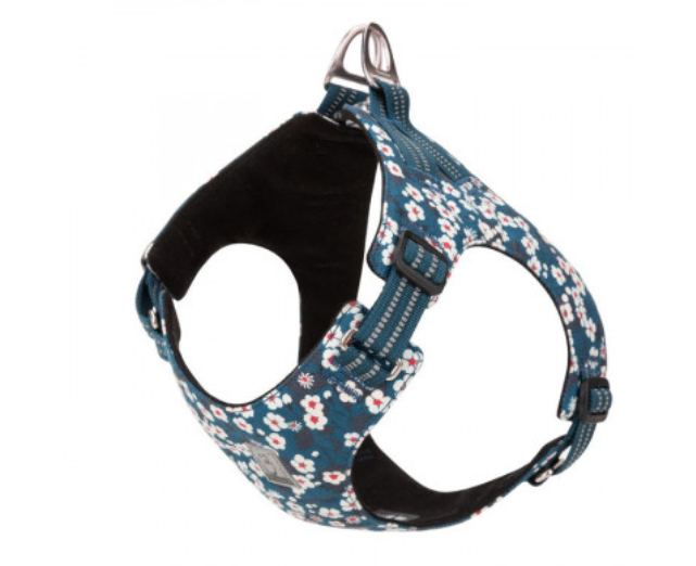 floral-doggy-harness-saxony-blue