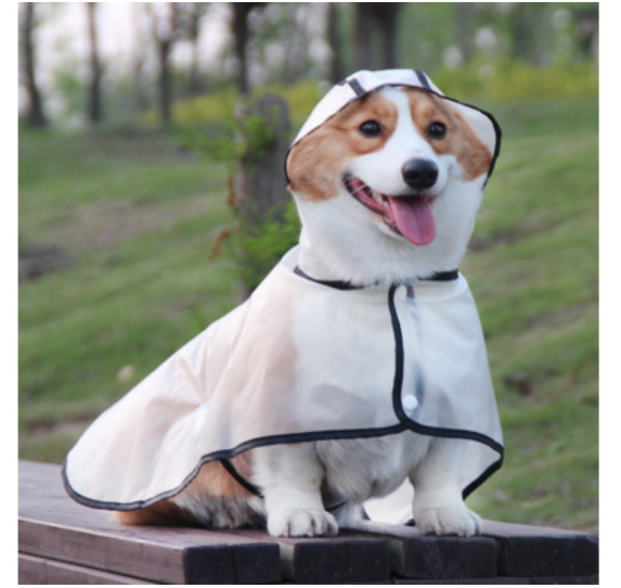 pawfriends-tpu-transparent-pet-cape-raincoat-large-dog-teddy-fadou-koki-dog-clothing