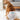 Ondoing Pet Disposable Diapers Dog Puppy Nappy Hygienic Male Female Wraps Toilet Trainer
