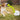 Dog Ball Launcher Thrower Automatic Tennis Fetch Throwing Machine 3 Balls